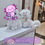 عروسک گربه پشمالوی گردنبنددار