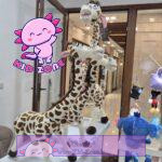 عروسک پولیشی زرافه ماداگاسکار