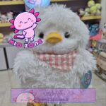 عروسک جوجه پشمالو با دستمال گردنی